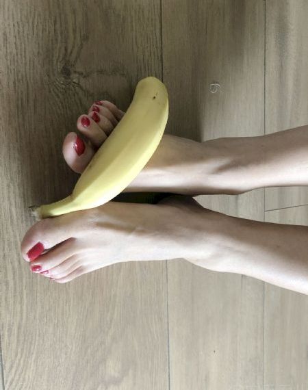森林里的熊冬眠中