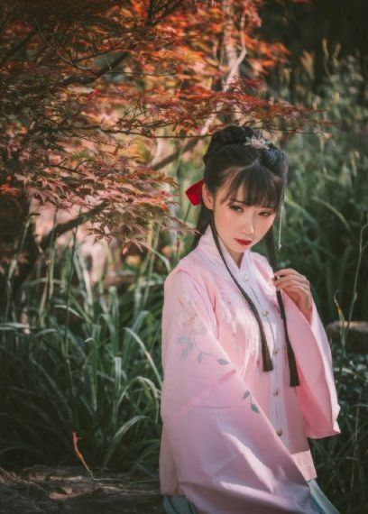请叫我总监电视剧在线观看完整版