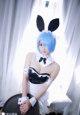拉布拉多警长动画片全集免费