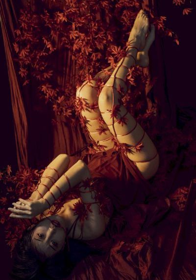 憧憬成为魔法少女动画
