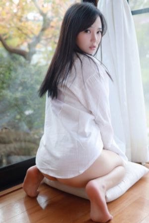 反叛的鲁路修r2