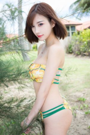 翡翠波斯猫经典3