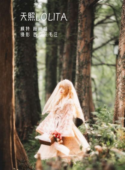 白鹿原在线播放