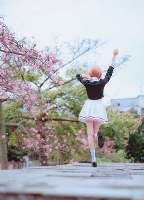 山花电视剧